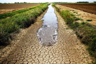 Una sequía sin precedentes en Siria, alerta la FAO