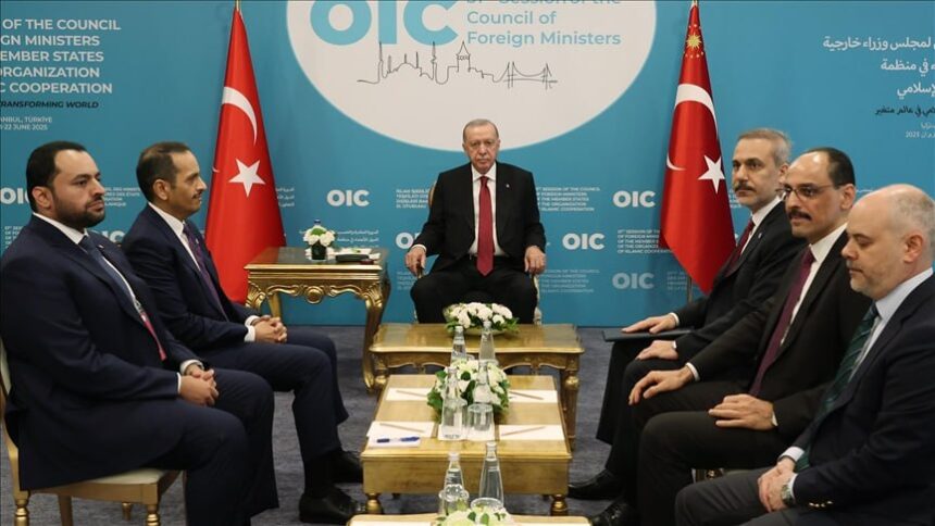 Siria e Iraq deben mantenerse al margen del conflicto israelo-iraní, afirma Erdogan