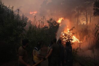 En imágenes: El desastre de los incendios forestales en Latakia