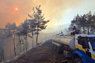 Siria logra controlar la mayoría de los incendios forestales en Latakia