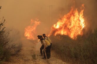 Siria lucha contra el desastre de los incendios por noveno día consecutivo