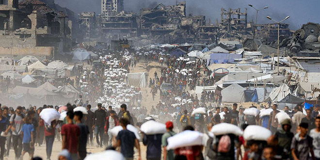 PMA denuncia ataques israelíes contra palestinos que buscan ayuda alimentaria en Gaza