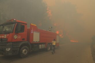 Grandes incendios afectan las zonas forestales en Latakia